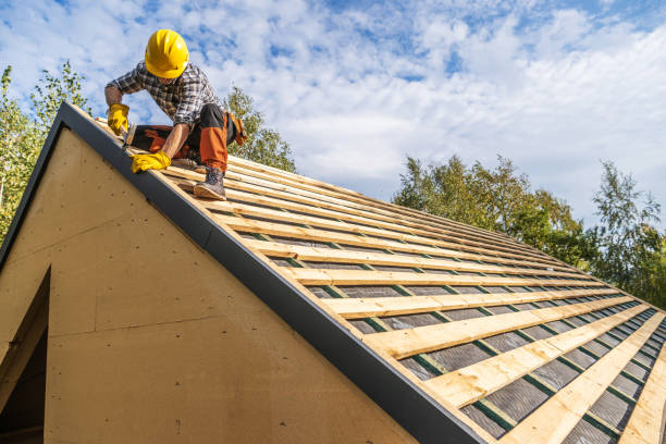Best Roof Gutter Cleaning  in High Point, FL